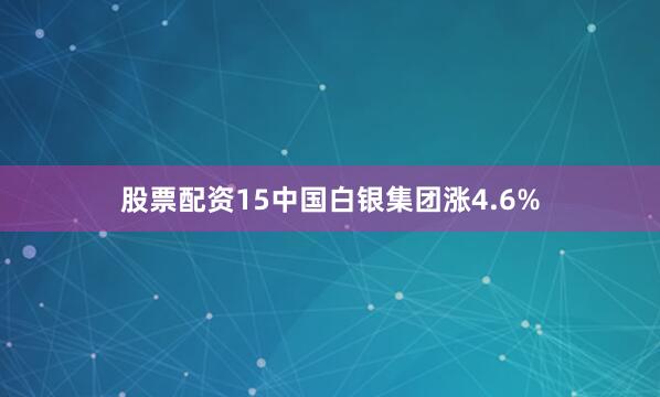 股票配资15中国白银集团涨4.6%