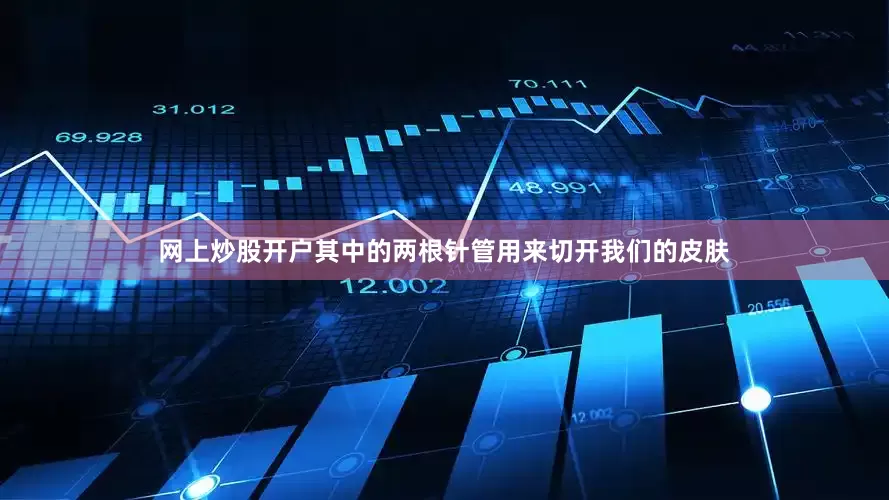 网上炒股开户其中的两根针管用来切开我们的皮肤
