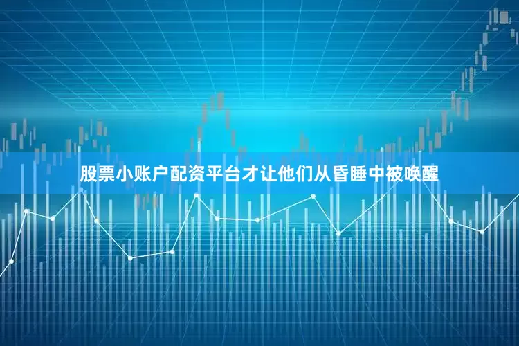 股票小账户配资平台才让他们从昏睡中被唤醒