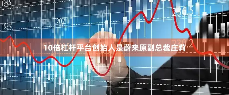 10倍杠杆平台创始人是蔚来原副总裁庄莉