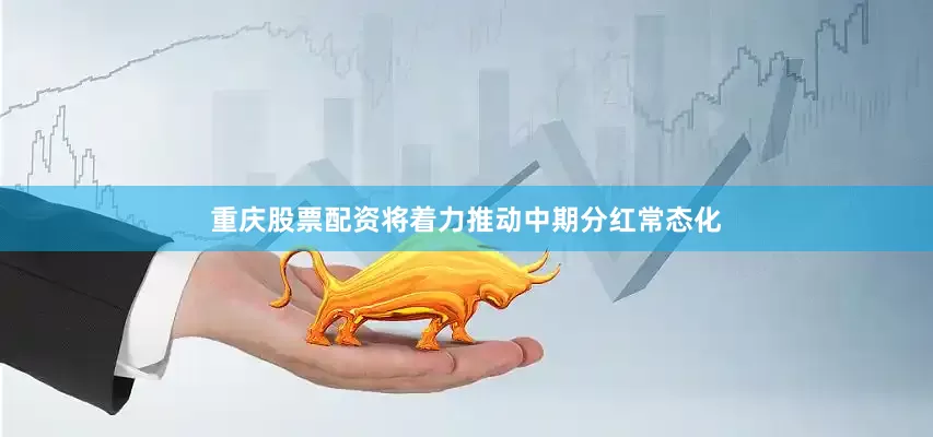 重庆股票配资将着力推动中期分红常态化