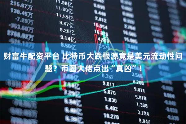 财富牛配资平台 比特币大跌根源竟是美元流动性问题？币圈大佬点出“真凶”！