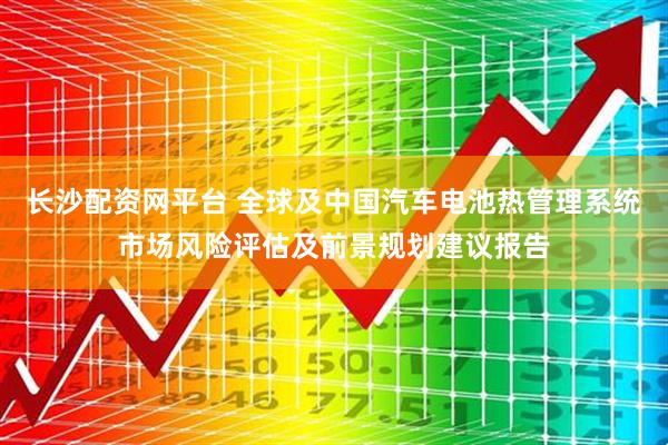 长沙配资网平台 全球及中国汽车电池热管理系统市场风险评估及前景规划建议报告