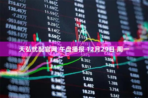 天弘忧配官网 午盘播报 12月29日 周一