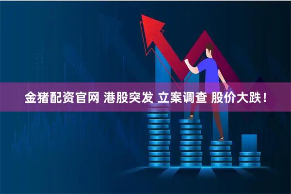 金猪配资官网 港股突发 立案调查 股价大跌！